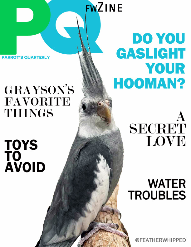 FeatherWhipped Magazine Issue 6